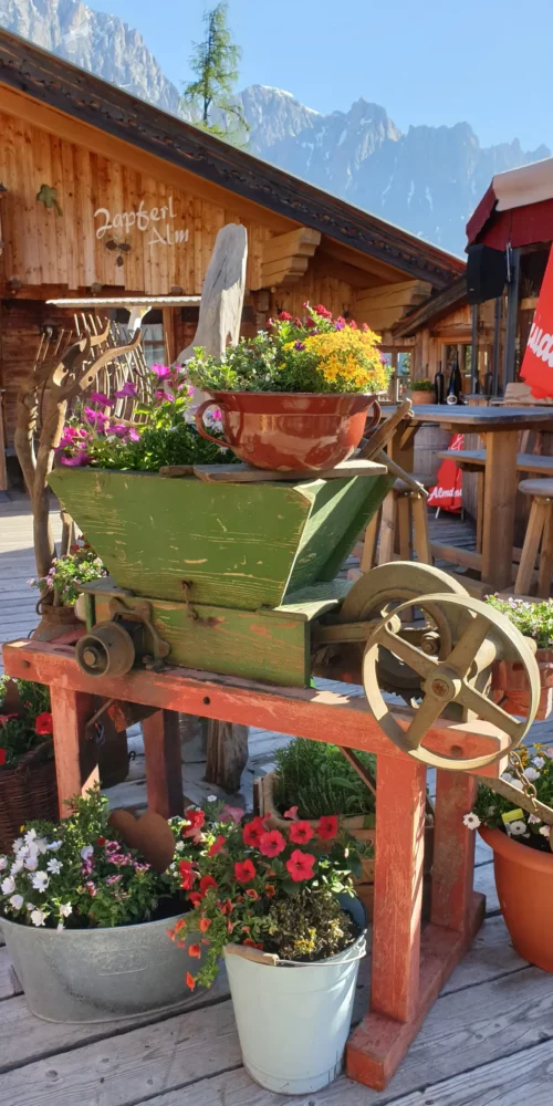 zapferl-alm-skihutte-wanderhuette-muehlbach-hochkoenig-006 Urig gemütliches Ambiente in Mühlbach am Hochkönig