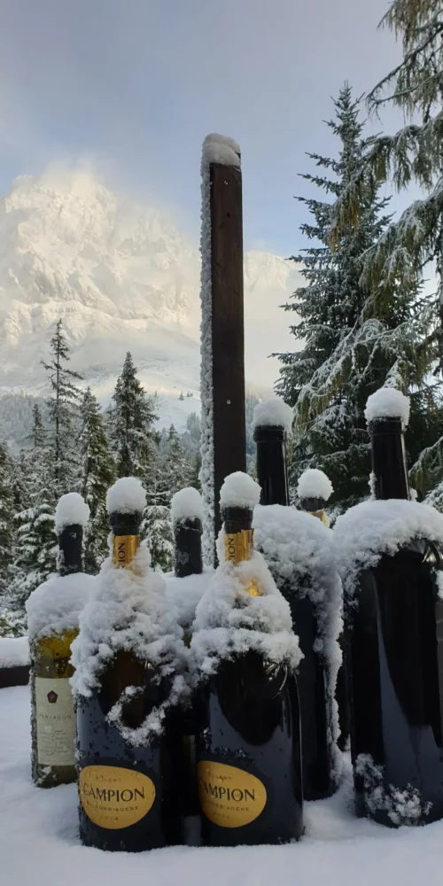 zapferl-alm-skihutte-wanderhuette-muehlbach-hochkoenig-007 Erlesene Weine und Champagner in der Zapferl Alm