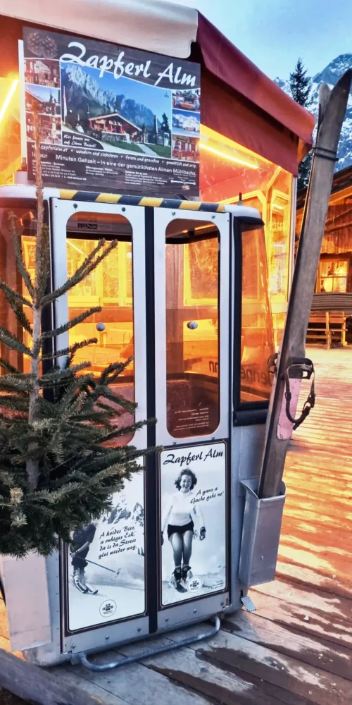 WhatsApp Image 2026-02-11 at 19.18.23